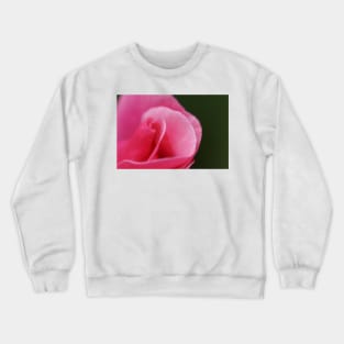 Pink Rose Close-up Crewneck Sweatshirt